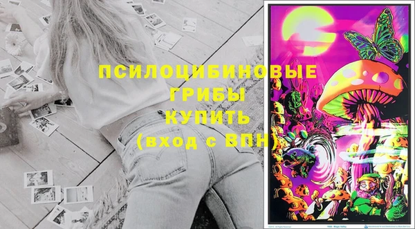 СК Медвежьегорск