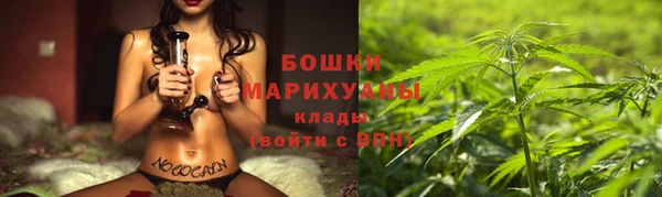 СК Медвежьегорск