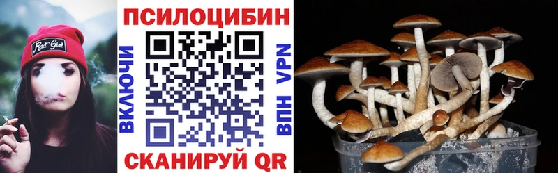 Псилоцибиновые грибы Psilocybe  что такое наркотик  Шадринск 