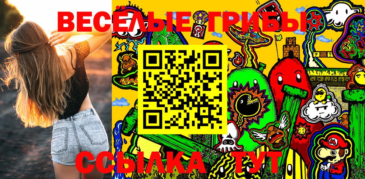 Галлюциногенные грибы Cubensis Шадринск