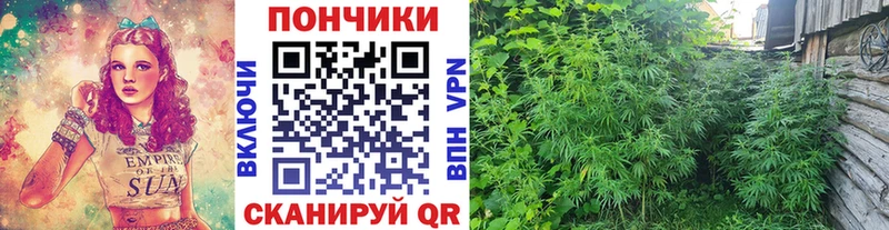маркетплейс официальный сайт  Шадринск  Каннабис планчик 